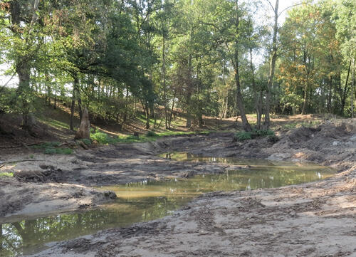 DBU-Naturerbefläche Hainberg, Weiher, Renaturierung © FETSCH Landschaftsarchitekten