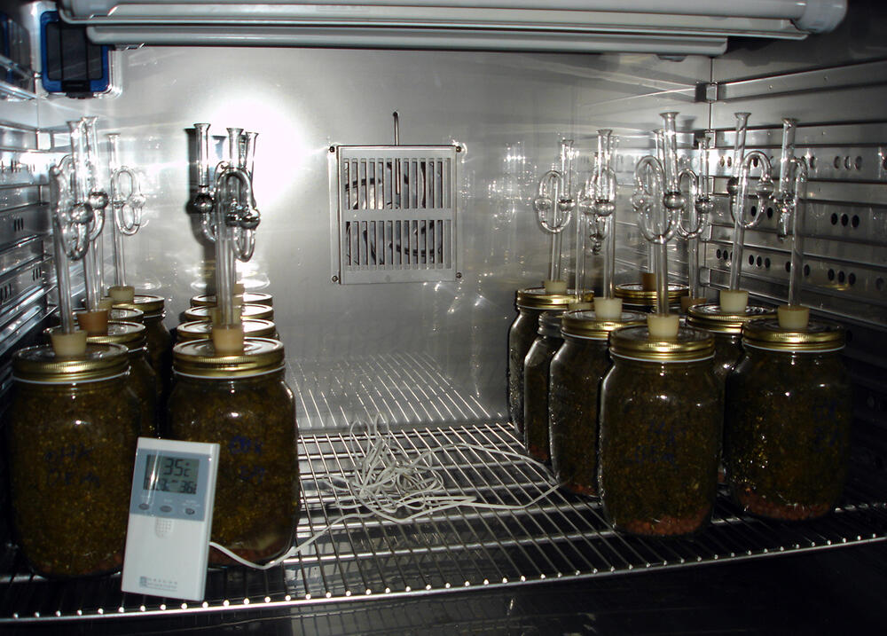 Terra Preta &copy; Institut für Bakteriologie und Mykologie, Universität Leipzig