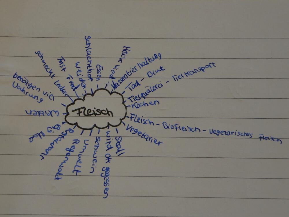 34274_Komplexes_Visualisierung © OroVerde - Die Tropenwaldstiftung