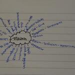 34274_Komplexes_Visualisierung © OroVerde - Die Tropenwaldstiftung