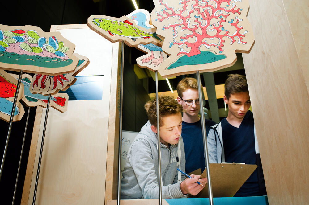 Sehen Sie selbst... © Deutsche Bundesstiftung Umwelt