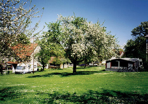 ECOCAMPING - Umweltmanagement für Campingunternehmen 