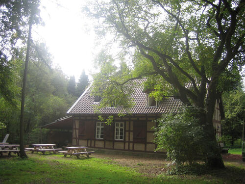 Grünes Klassenzimmer im Waldgebiet Tadensen 