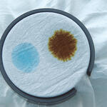 Umweltentlastende Verfahrenstechnik zur enzymatischen Baumwollvorbehandlung 