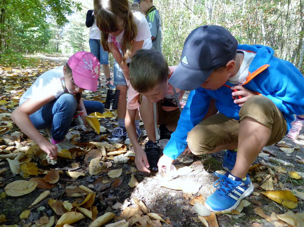 Tag des Nationalen Naturerbes Exkursion Naturerbefläche Goitzsche © Pleger / DBU