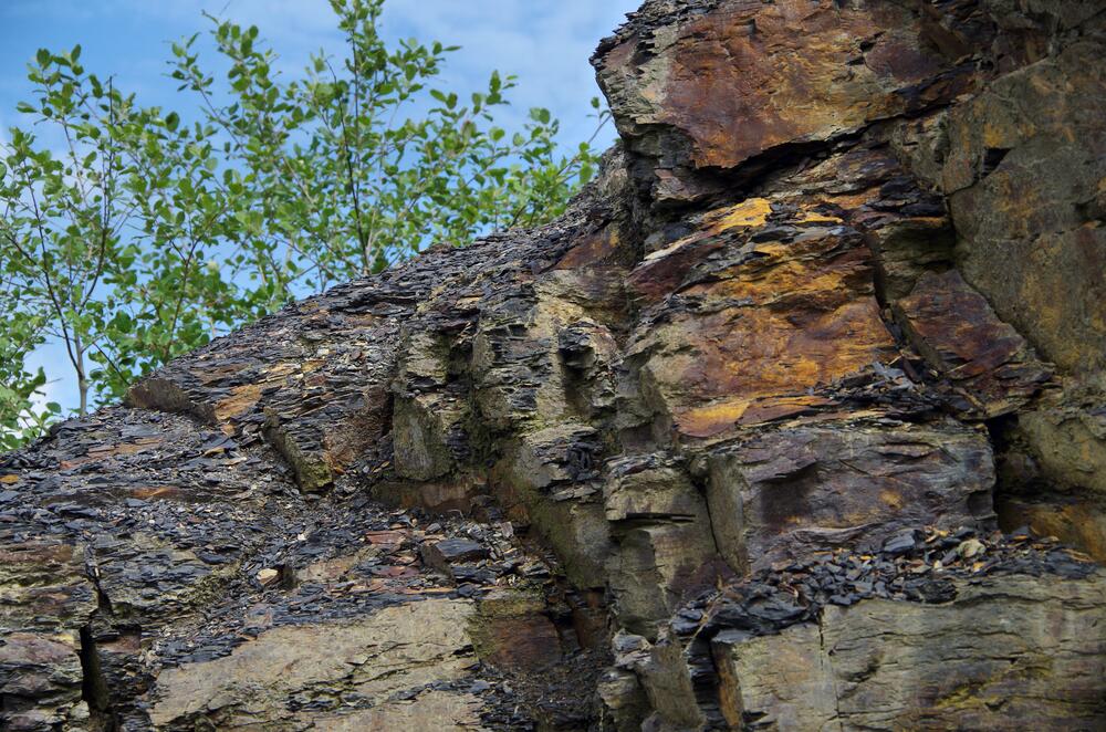 Piesberg JuZuVie17 © Lea Josepha Fried/Deutsche Bundesstiftung Umwelt