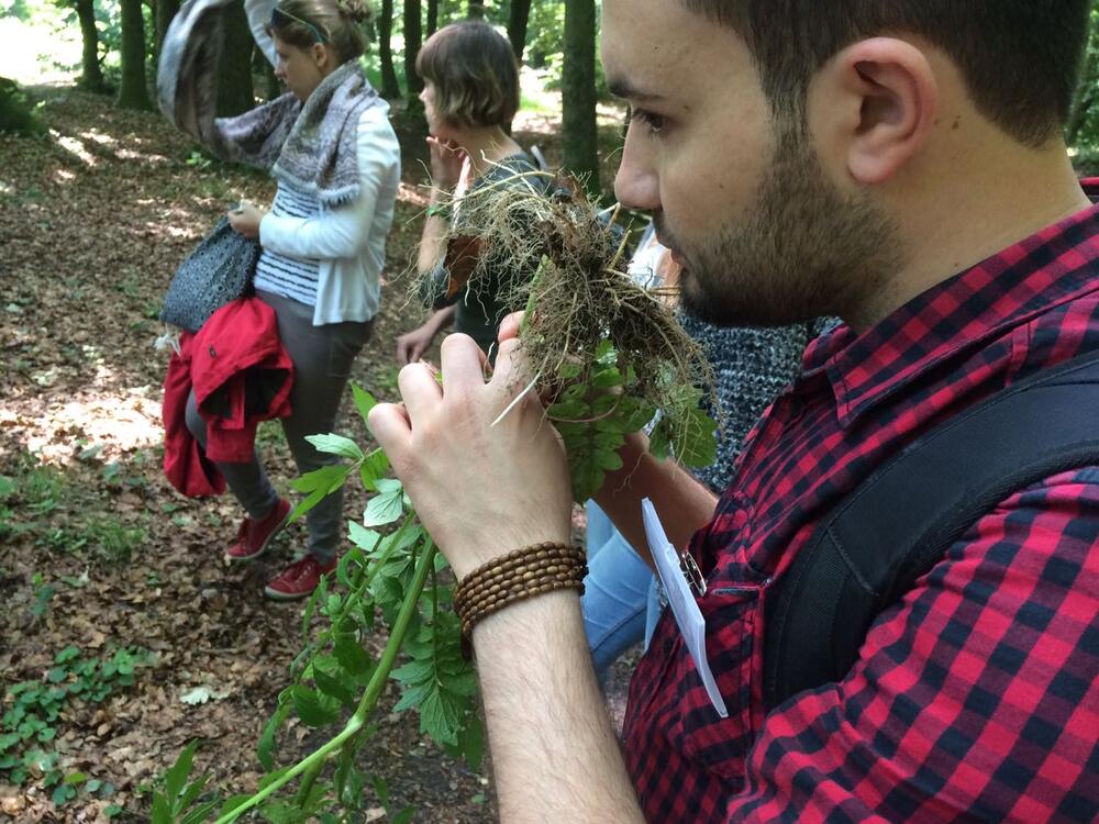 Wildpflanzen JuZuVie17 © Christian Tegge/Deutsche Bundesstiftung Umwelt