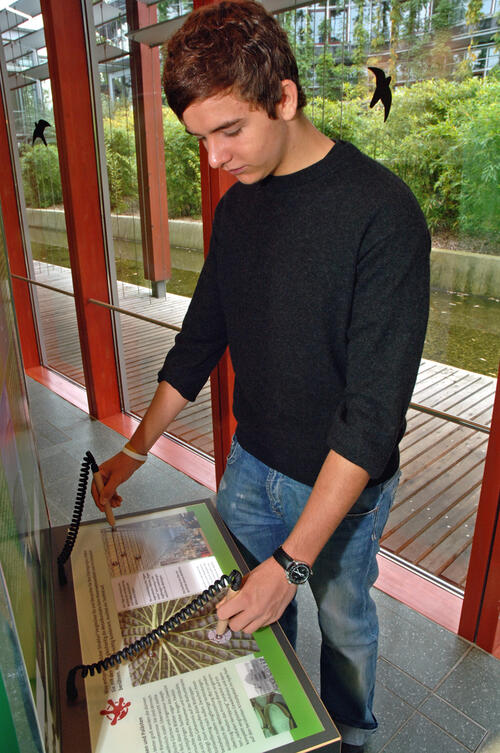 Bionik &copy; Michael Münch