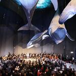 Eröffnung des Ozeaneums &copy; Ozeaneum