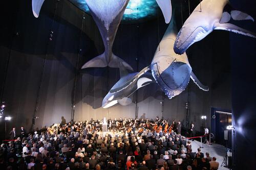 Eröffnung des Ozeaneums &copy; Ozeaneum