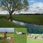 Foto Wiesenbewässerung &copy; Martin Alt/Martin Buhk