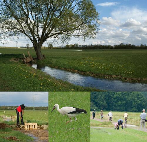 Foto Wiesenbewässerung &copy; Martin Alt/Martin Buhk