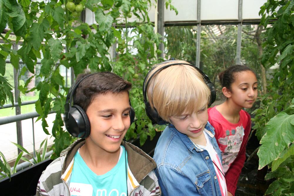 Sehen Sie selbst... © RADIJOJO