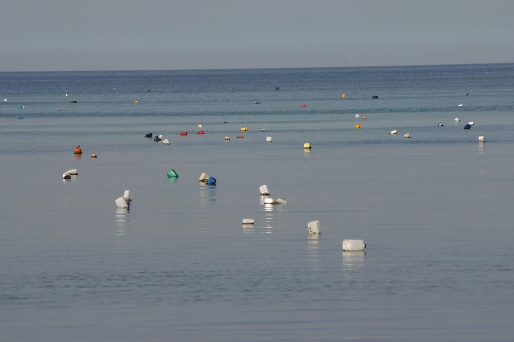 Hirneisen, Norbert/piclease  &copy; Hirneisen, Norbert/piclease 