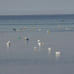 Hirneisen, Norbert/piclease  &copy; Hirneisen, Norbert/piclease 