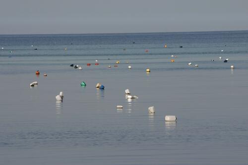 Hirneisen, Norbert/piclease  &copy; Hirneisen, Norbert/piclease 