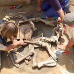 Archäologie Ausgrabung Mitte 12. Jahrhundert &copy; Landesamt für Kultur und Denkmalpflege Mecklenburg-Vorpommern