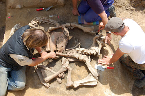 Archäologie Ausgrabung Mitte 12. Jahrhundert &copy; Landesamt für Kultur und Denkmalpflege Mecklenburg-Vorpommern