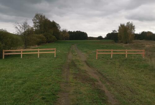 Herzogsberge Gatter Donauwellen © Achim Hördler/ Bundesforst