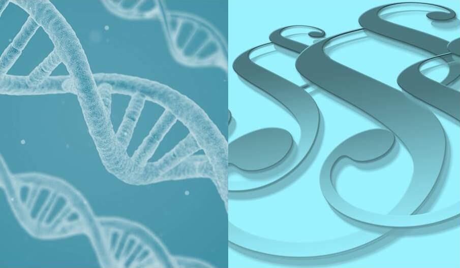 Hartung_RegulierungGrüneGentechnik © Pixabay