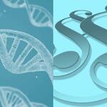 Hartung_RegulierungGrüneGentechnik © Pixabay