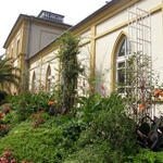 Palmengarten Haus Leonhardsbrunn 