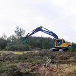 Entbuschung Kiefern Cuxhavener Küstenheide © Bundesforstbetrieb Niedersachsen/Wehebrink