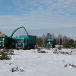 Maßnahmen auf der DBU-Naturerbefläche Prösa © Jens Pietrzak/Bundesforst