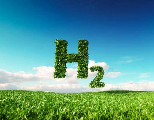 Sehen Sie selbst... © WTZ