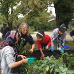 Flucht 1 &copy; Iris Kracher