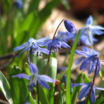 Frühling in der DBU © DBU-Archiv