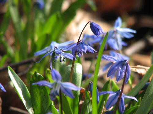 Frühling in der DBU © DBU-Archiv