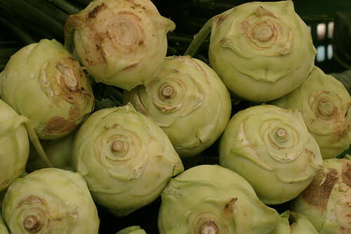 Kohlrabi © Wendefeuer/piclease