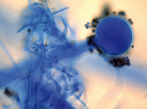 ECOKURS qualifiziert Architekten &copy; www.enius.de