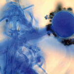 ECOKURS qualifiziert Architekten © www.enius.de