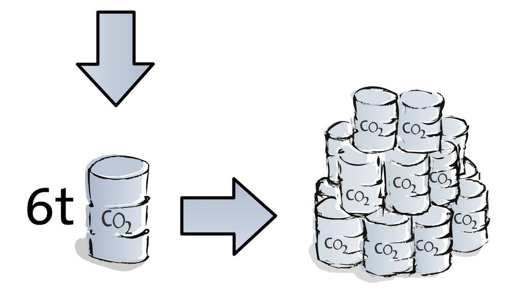 EmSAG – Emissionshandel ganz privat 