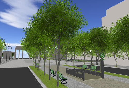 Verticillium-Welke bei Erdbeeren regulieren 