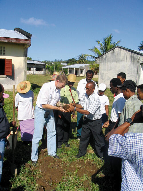 Schüler transplantieren tropischen Primärwald 