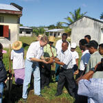 Schüler transplantieren tropischen Primärwald 