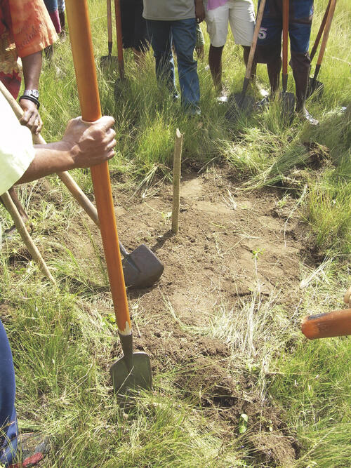 Wiederaufforstungsprojekt in Madagaskar 