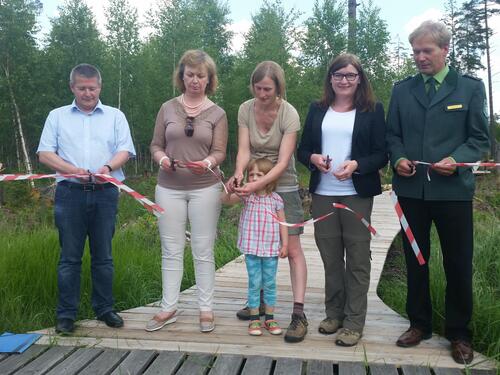 Moorerlebnispfad im Pöllwitzer Wald 
