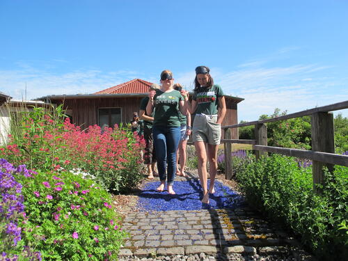 Wabe Exkursion JuZuVie17 © Marie-Kristin Öttl/Deutsche Bundesstiftung Umwelt