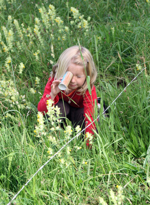 Umweltbildung &copy; Kathrin Lichtenauer