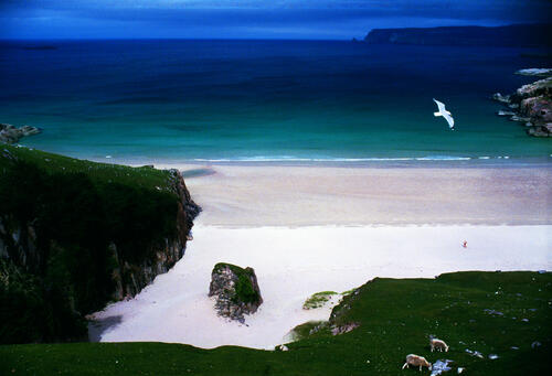 Fotografie von Manfred Arntz  &copy; Manfred Arntz