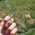 Zigarette © DBU Naturerbe