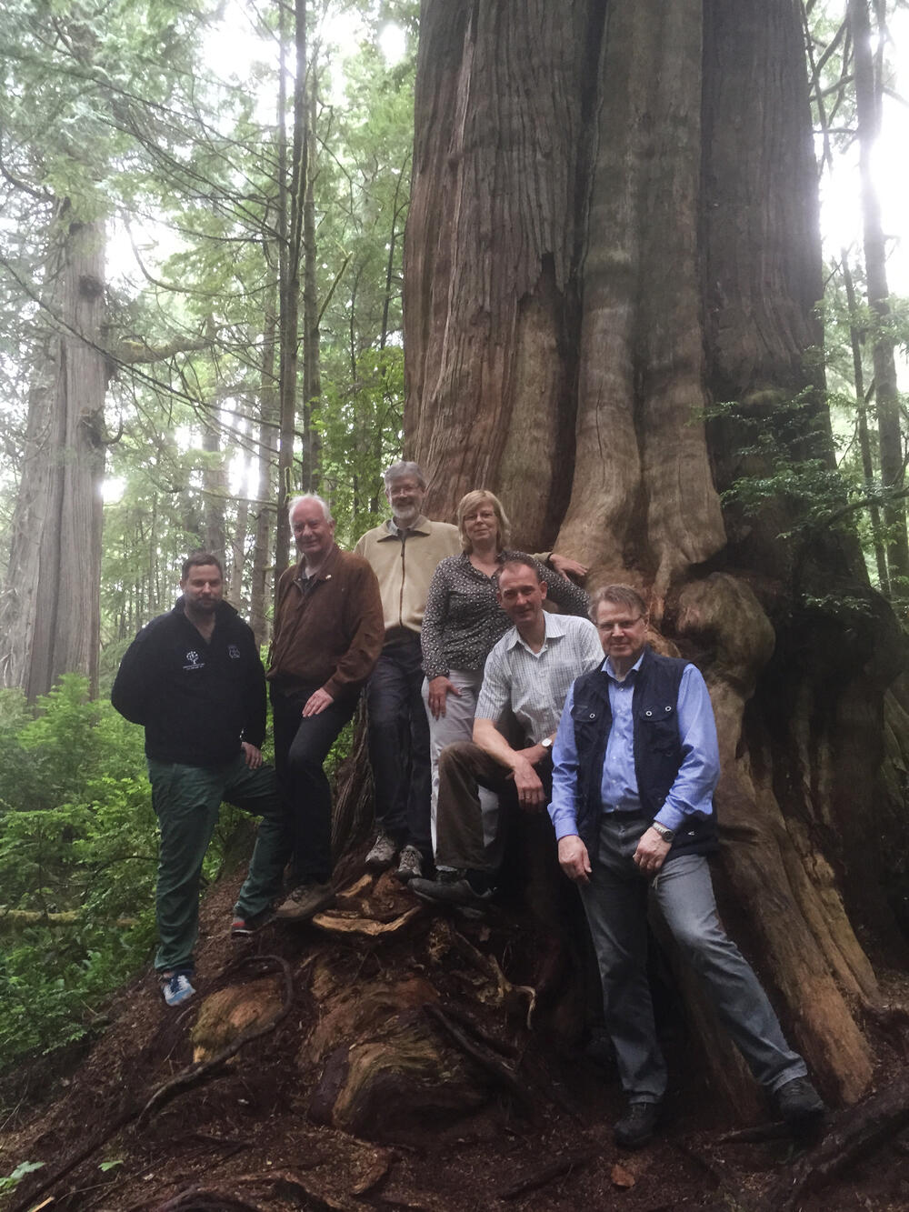 Sehen Sie selbst... © BMF