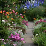 Gartenimpressionen © Hans Glader/piclease