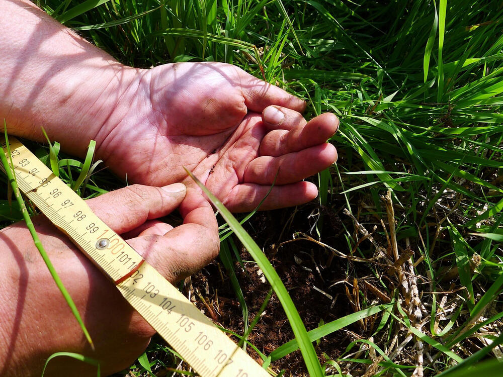 Sehen Sie selbst... &copy; Josef Müller/Uni Bremen