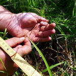 Sehen Sie selbst... &copy; Josef Müller/Uni Bremen