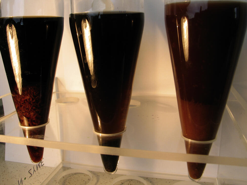 Olivenölpresswasser 